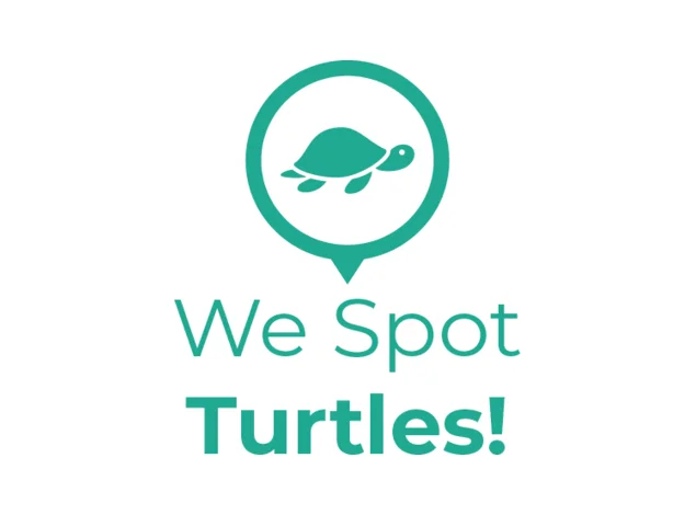 We Spot Turtles!
